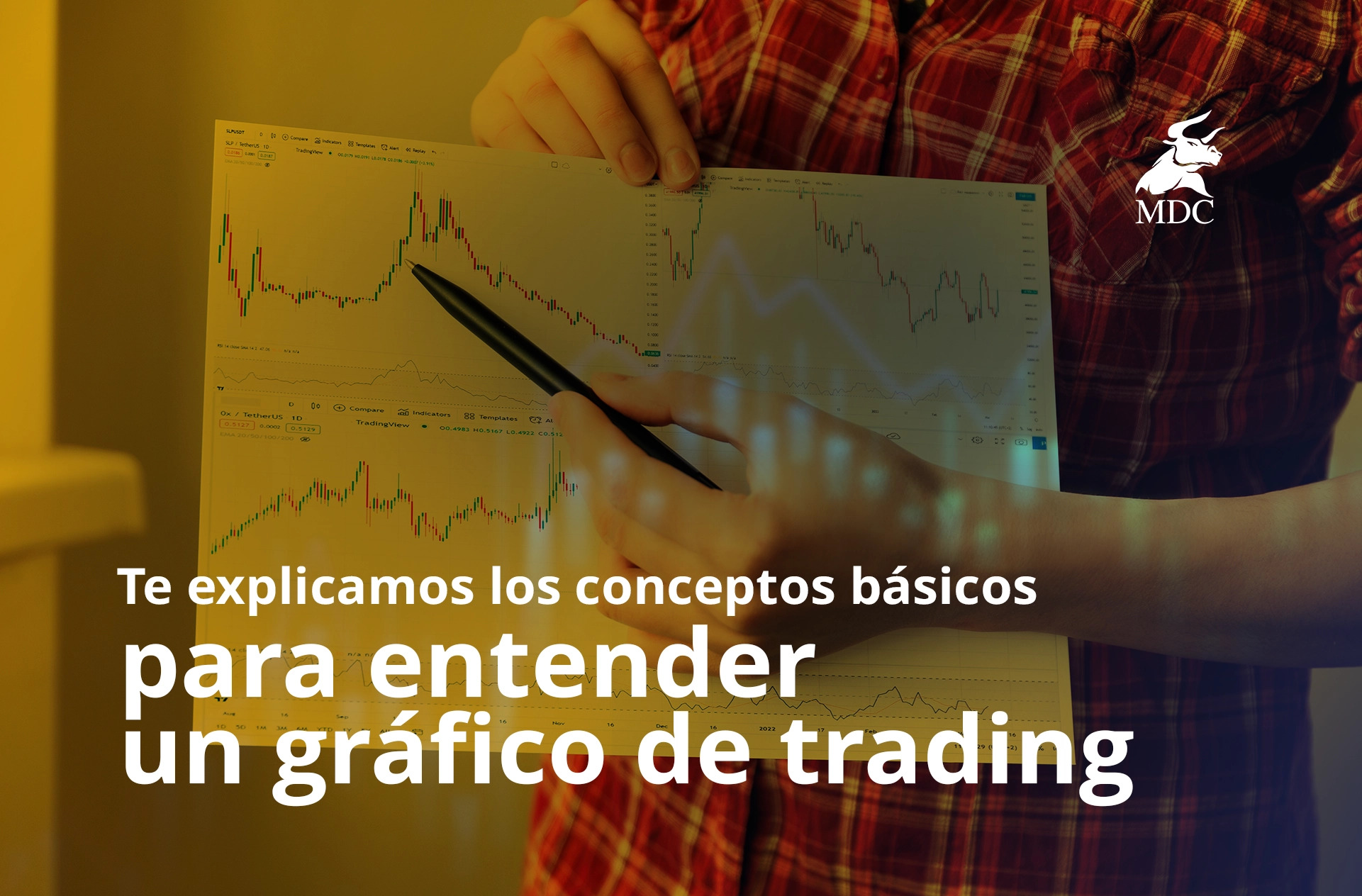 Conceptos básicos de gráficos de trading guía para principiantes MDC