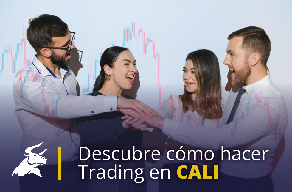 Curso De Trading En Cali C Mo Empezar A Aprender Mdc Trading Academy